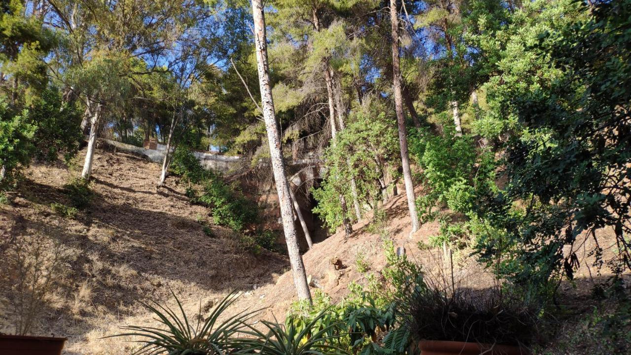 Apartamento Casa del Árbol Málaga Exterior foto
